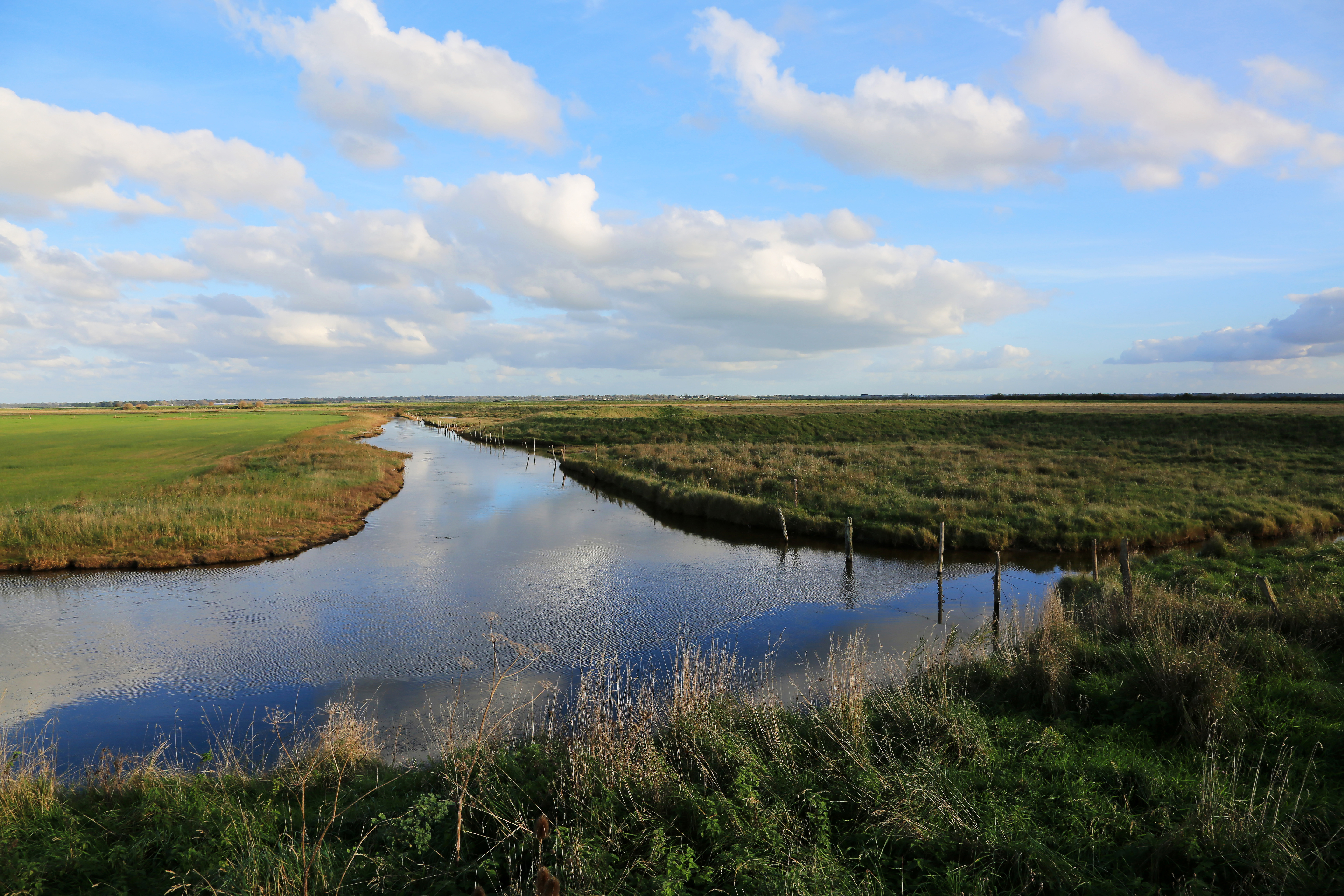 Paysage des marais du Cotentin