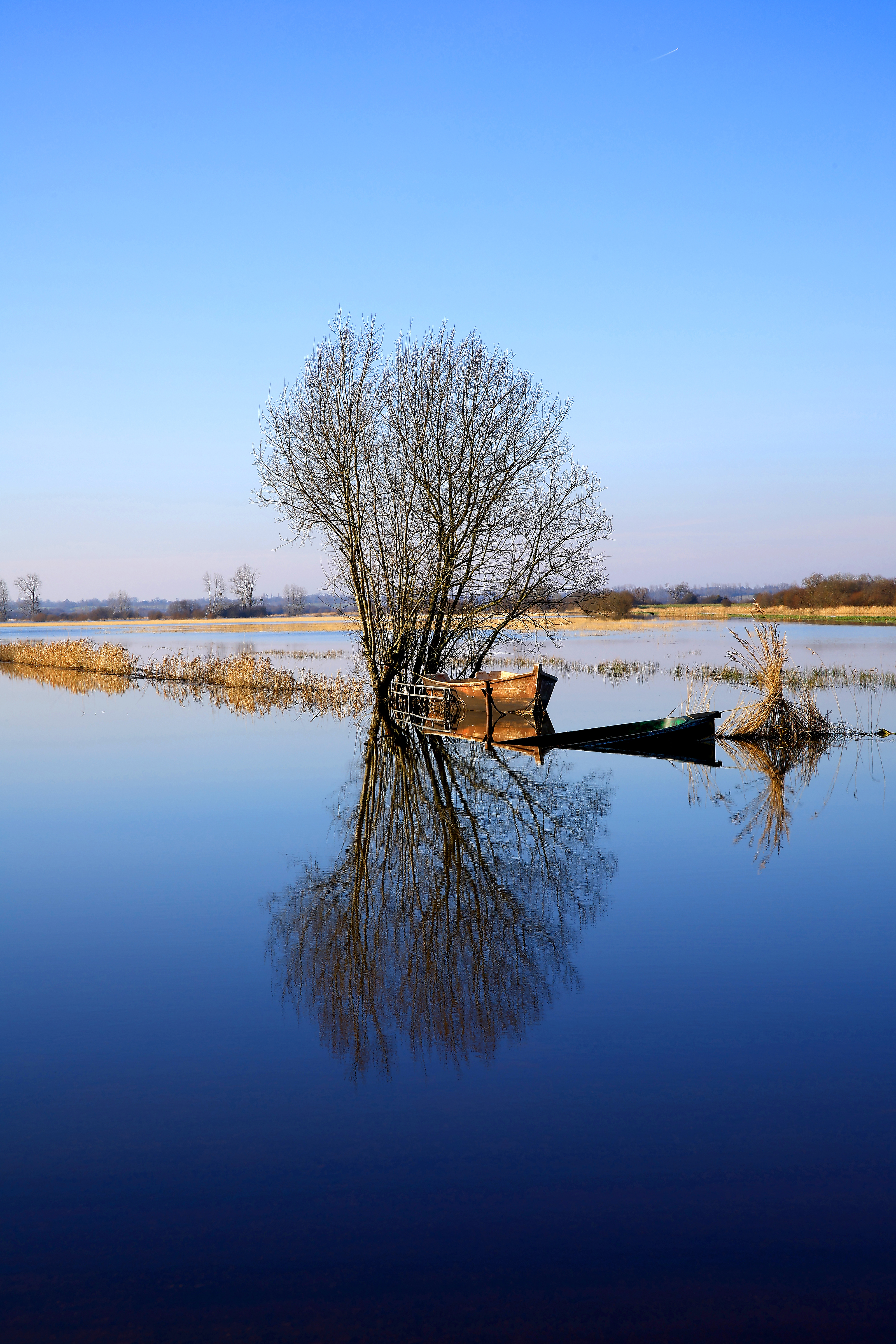 Marais du Cotentin