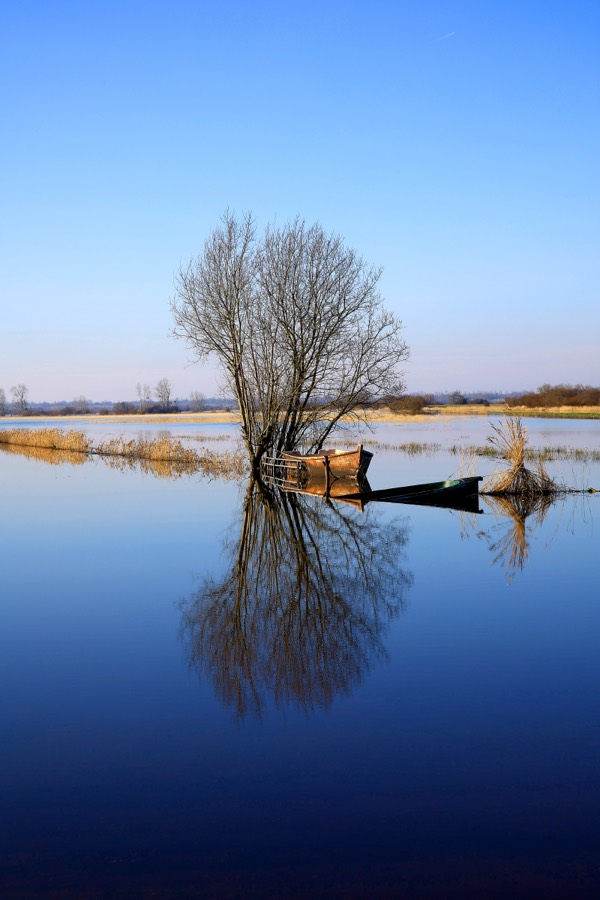 Reflets dans les marais du Cotentin