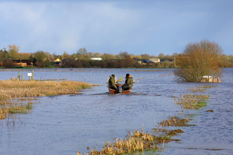 Marais de Saint-André, Carentan-les-Marais